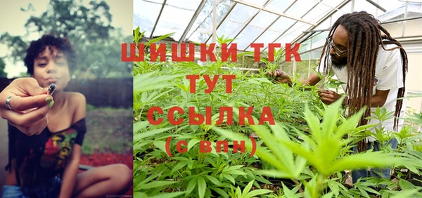 винт Верея