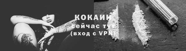 винт Верея