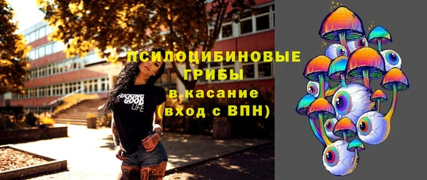 винт Верея