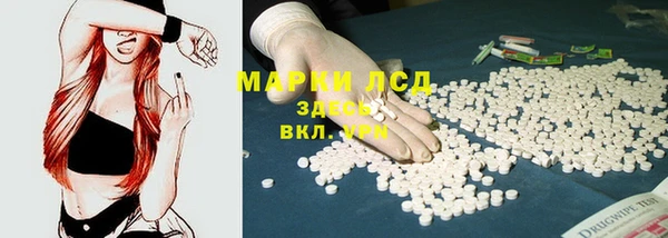 винт Верея